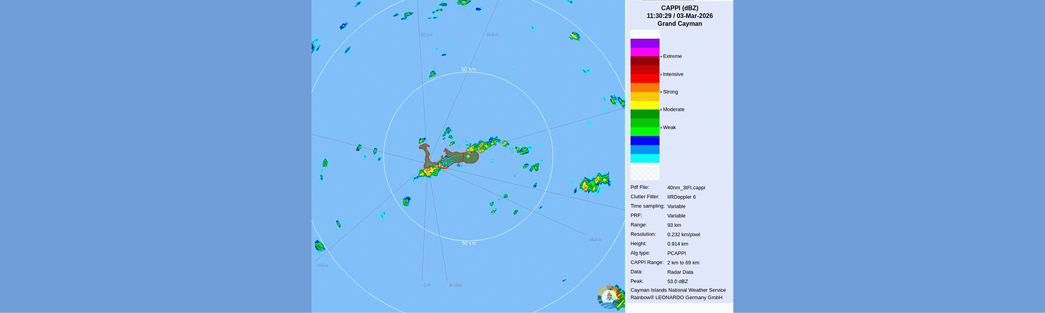 Healthy Living Made Easy