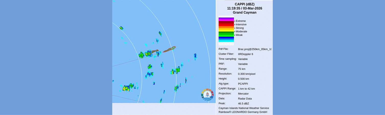 Healthy Living Made Easy