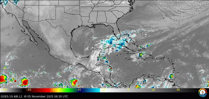 Healthy Living Made Easy